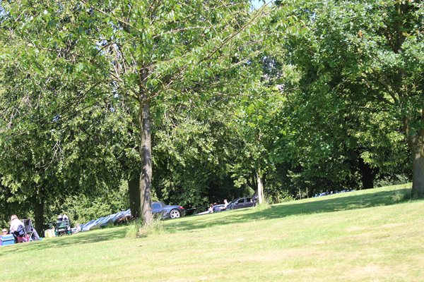 Photo 38 from the Summer Picnic gallery